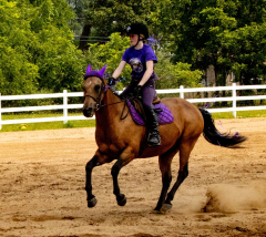 2021-8-31-9-1-CAYLIE-HORSE-SHOW-MILFORD-546