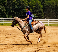 2021-8-31-9-1-CAYLIE-HORSE-SHOW-MILFORD-547