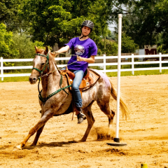 2021-8-31-9-1-CAYLIE-HORSE-SHOW-MILFORD-548