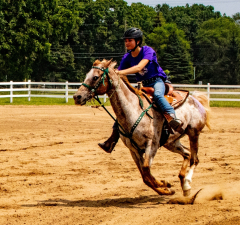 2021-8-31-9-1-CAYLIE-HORSE-SHOW-MILFORD-550