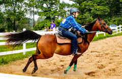 2021-8-31-9-1-CAYLIE-HORSE-SHOW-MILFORD-551