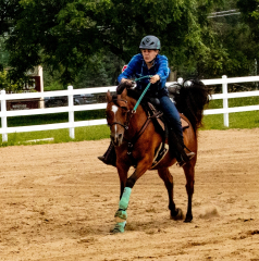 2021-8-31-9-1-CAYLIE-HORSE-SHOW-MILFORD-555