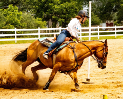 2021-8-31-9-1-CAYLIE-HORSE-SHOW-MILFORD-561