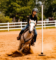 2021-8-31-9-1-CAYLIE-HORSE-SHOW-MILFORD-564