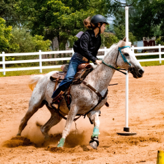 2021-8-31-9-1-CAYLIE-HORSE-SHOW-MILFORD-565