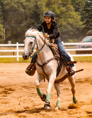 2021-8-31-9-1-CAYLIE-HORSE-SHOW-MILFORD-566