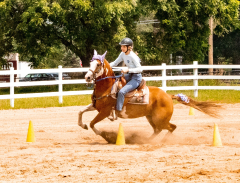2021-8-31-9-1-CAYLIE-HORSE-SHOW-MILFORD-575