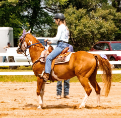 2021-8-31-9-1-CAYLIE-HORSE-SHOW-MILFORD-576