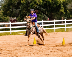 2021-8-31-9-1-CAYLIE-HORSE-SHOW-MILFORD-577