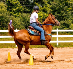 2021-8-31-9-1-CAYLIE-HORSE-SHOW-MILFORD-581
