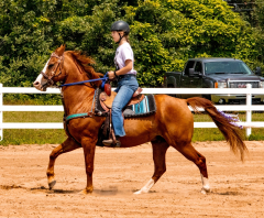 2021-8-31-9-1-CAYLIE-HORSE-SHOW-MILFORD-582