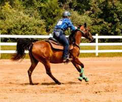 2021-8-31-9-1-CAYLIE-HORSE-SHOW-MILFORD-585