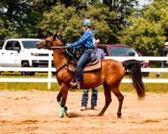 2021-8-31-9-1-CAYLIE-HORSE-SHOW-MILFORD-589