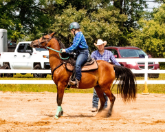 2021-8-31-9-1-CAYLIE-HORSE-SHOW-MILFORD-590