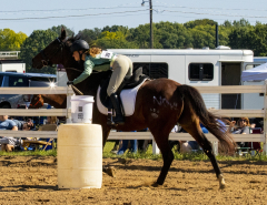 untitled-shoot-085-2