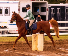 9-25-Horse-Meet-at-Milford-100