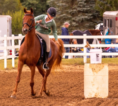 9-25-Horse-Meet-at-Milford-101