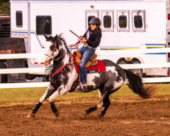 9-25-Horse-Meet-at-Milford-112