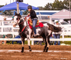 9-25-Horse-Meet-at-Milford-116