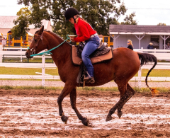 9-25-Horse-Meet-at-Milford-12