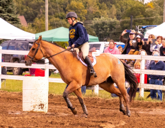 9-25-Horse-Meet-at-Milford-129