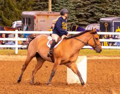 9-25-Horse-Meet-at-Milford-130