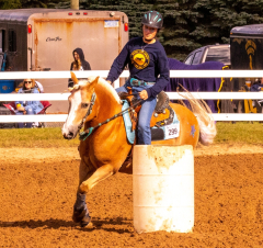 9-25-Horse-Meet-at-Milford-133