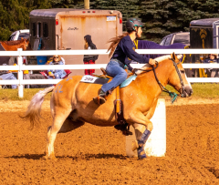 9-25-Horse-Meet-at-Milford-134