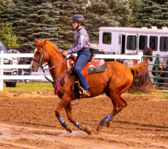 9-25-Horse-Meet-at-Milford-138