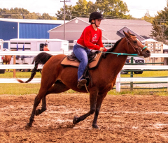 9-25-Horse-Meet-at-Milford-14