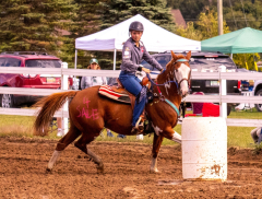 9-25-Horse-Meet-at-Milford-144