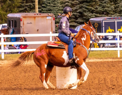 9-25-Horse-Meet-at-Milford-147