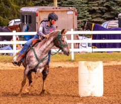 9-25-Horse-Meet-at-Milford-151