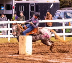 9-25-Horse-Meet-at-Milford-153