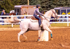 9-25-Horse-Meet-at-Milford-159