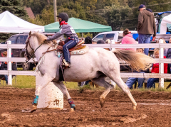 9-25-Horse-Meet-at-Milford-161