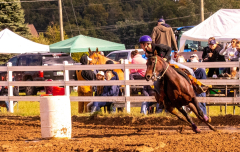 9-25-Horse-Meet-at-Milford-168