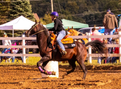 9-25-Horse-Meet-at-Milford-169