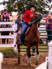 9-25-Horse-Meet-at-Milford-174