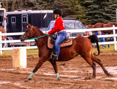 9-25-Horse-Meet-at-Milford-179