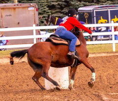 9-25-Horse-Meet-at-Milford-181