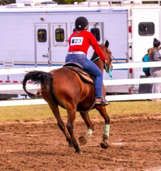 9-25-Horse-Meet-at-Milford-182