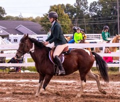 9-25-Horse-Meet-at-Milford-190