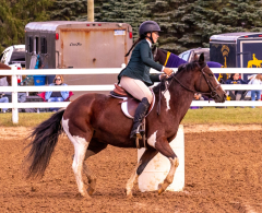 9-25-Horse-Meet-at-Milford-192