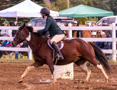 9-25-Horse-Meet-at-Milford-194