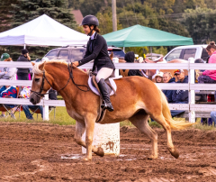 9-25-Horse-Meet-at-Milford-199