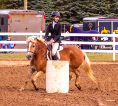 9-25-Horse-Meet-at-Milford-200