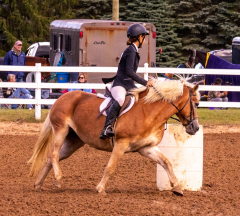 9-25-Horse-Meet-at-Milford-201