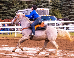 9-25-Horse-Meet-at-Milford-207