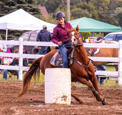 9-25-Horse-Meet-at-Milford-215